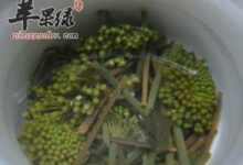 哪些人不能喝三七花泡的水呢-茗扬网