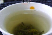 三七花泡水喝的注意事项有哪些-茗扬网