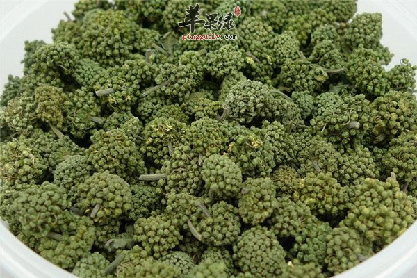 三七花适宜人群以及泡水功效