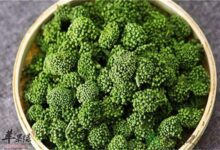 三七花泡水喝的养生作用及适合人群-茗扬网