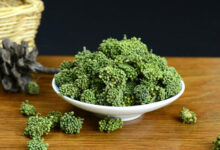 三七花茶有什么功效与作用 喝三七花茶的好处-茗扬网