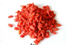 枸杞子泡水注意喝坏身子-茗扬网