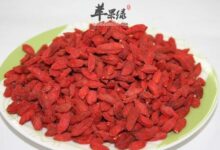 经常喝枸杞子水害处有哪些-茗扬网