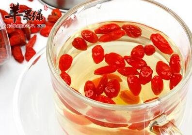 经常失眠不如多喝枸杞子茶