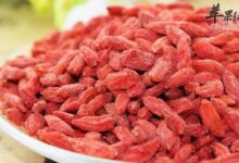 枸杞子泡水喝都有哪些禁忌-茗扬网