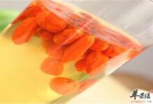 中药枸杞子泡水的保健功效大-茗扬网