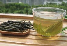 苦丁茶有什么作用和功效-茗扬网