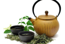 侧柏叶桑叶苦丁茶图片是什么样子呢-茗扬网