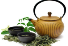 桑叶侧柏叶苦丁茶的功效和作用-茗扬网