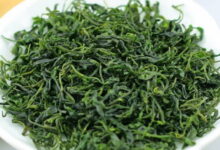 小叶苦丁茶怎么挑选 怎么泡-茗扬网