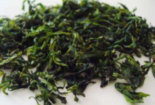 小叶苦丁茶的食用禁忌 可以长期喝吗-茗扬网