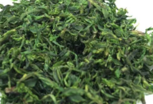 小叶苦丁茶多少钱一斤   哪些人不能喝-茗扬网