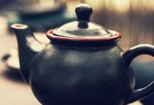 苦丁茶怎么泡 功效与作用有哪些-茗扬网