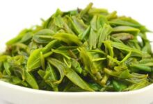 苦丁茶的副作用是什么 喝多了好不好-茗扬网