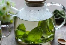 薄荷叶的功效与作用和食用禁忌-茗扬网