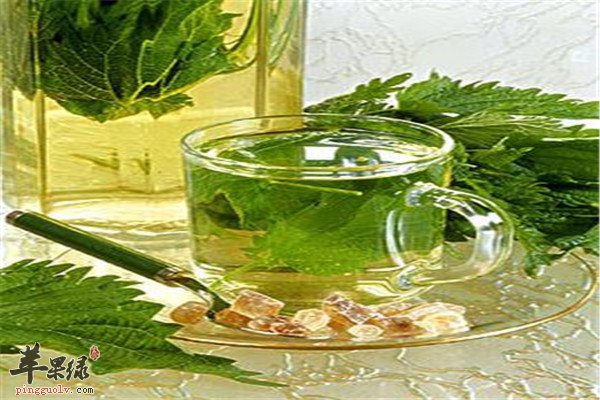 薄荷叶甘菊茶——消炎止泻促进食欲
