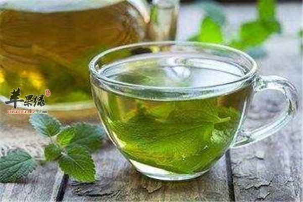 薄荷叶甘菊茶——消炎止泻促进食欲