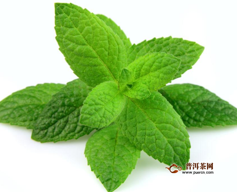 薄荷叶茶怎么喝才减肥，薄荷叶茶的功效