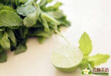 薄荷叶泡水喝的好处 解乏解困又能增强体力-茗扬网