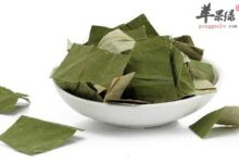 夏季多喝荷叶茶 可以清暑利湿-茗扬网