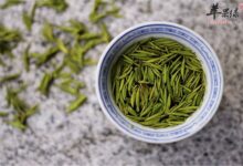 杜仲茶怎么喝好 哪些人是禁忌-茗扬网