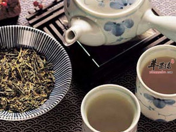 杜仲茶的泡法 杜仲茶的禁忌