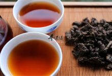 杜仲茶到底能不能减肥-茗扬网