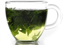 桑叶茶的功效有哪些呢-茗扬网