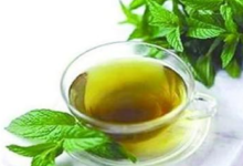 桑叶茶泡水喝有什么功效-茗扬网