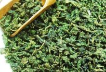 桑叶茶的副作用都有哪些-茗扬网