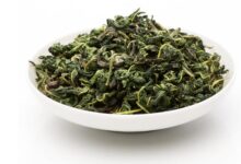 桑叶茶在家的自制方法-茗扬网