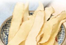 玉竹桑叶泡水喝的功效-茗扬网