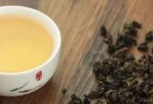 花旗参乌龙茶的功效与作用及禁忌-茗扬网