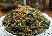 经常喝玄米茶有什么好处吗-茗扬网