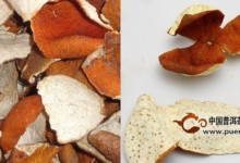 桔子皮为什么不是陈皮？-茗扬网