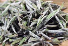 福建省福鼎市出产什么茶-茗扬网