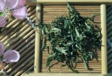 南岳衡山出产什么茶-茗扬网