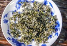 浙江普陀山有什么茶出名-茗扬网