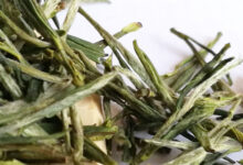 安徽九华山出产什么茶-茗扬网