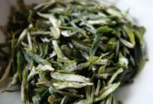 宜兴名茶——阳羡雪芽属于什么茶-茗扬网