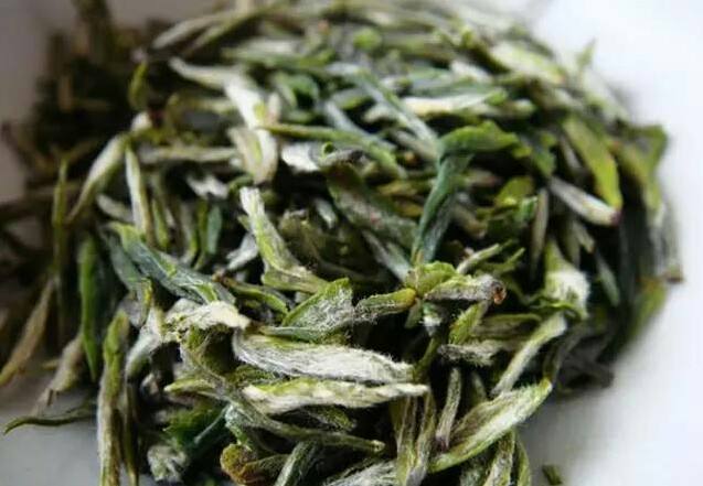 宜兴名茶——阳羡雪芽属于什么茶