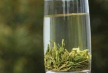 苍山雪绿怎么泡好喝？-茗扬网