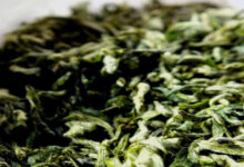 贵定的茶有什么特点 贵定云雾茶属于什么茶-茗扬网