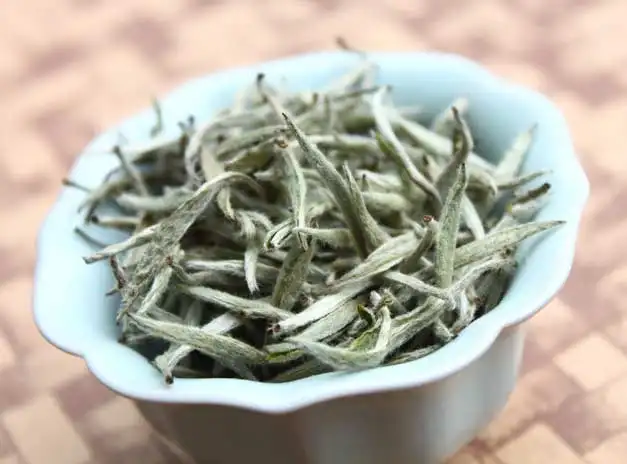 勐海特产茶叶——云海白毫属于什么茶