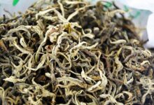 广西凌云最出名茶叶——凌云白毫茶的特点(广西凌云白毫茶)-茗扬网