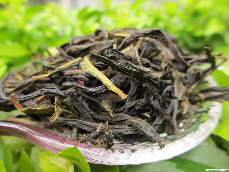 潮州有什么茶，潮州产什么茶