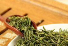 龙岩斜背茶的特点(龙岩人才网)-茗扬网