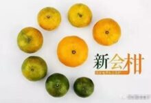 青皮、二红皮与大红皮收藏与食用到底哪种好？(新会陈皮大红皮二红皮青皮区别)-茗扬网