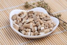 常备的板蓝根能泡水喝吗(板蓝根可以长期泡水喝吗)-茗扬网