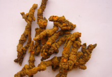 黄连怎么泡水喝比较好(汽车保险怎么买比较划算)-茗扬网